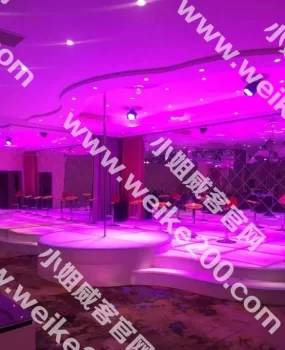 嘉定曹安公路封杨路T台选秀(沪c可达）