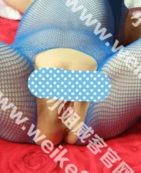 约战金台路附近帝都土著无毛熟女娟姐，服务技术很娴熟，纯泻火的话绝对不错