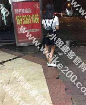 很有大学学生妹味道的妞