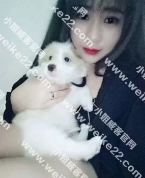 非常嫩的兼职妹妹—各种调教