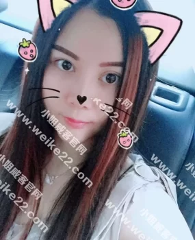 市区的洋洋，有点小清新